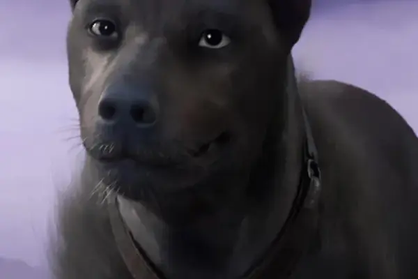 Tổng hợp 99+ ảnh Hắc Hoàng (Chó Đen) cực ngầu và ấn tượng