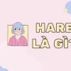 Thể Loại Harem Là Gì? Khám Phá Sức Hút Độc Đáo