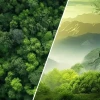 Tải ảnh phong cảnh rừng nguyên sinh bí ẩn tại hang Sơn Đoòng 2026