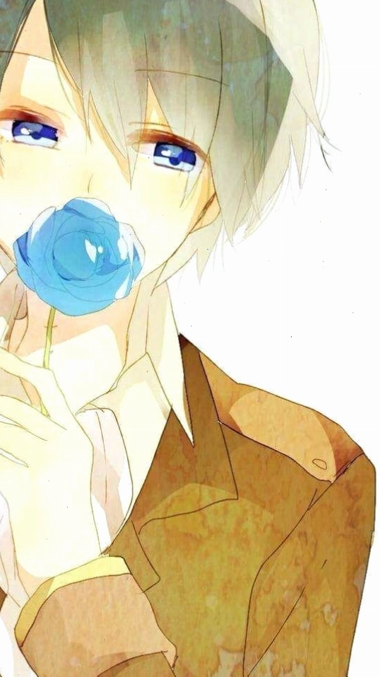 Avatar đôi anime chibi với biểu cảm dễ thương và màu sắc tươi sáng