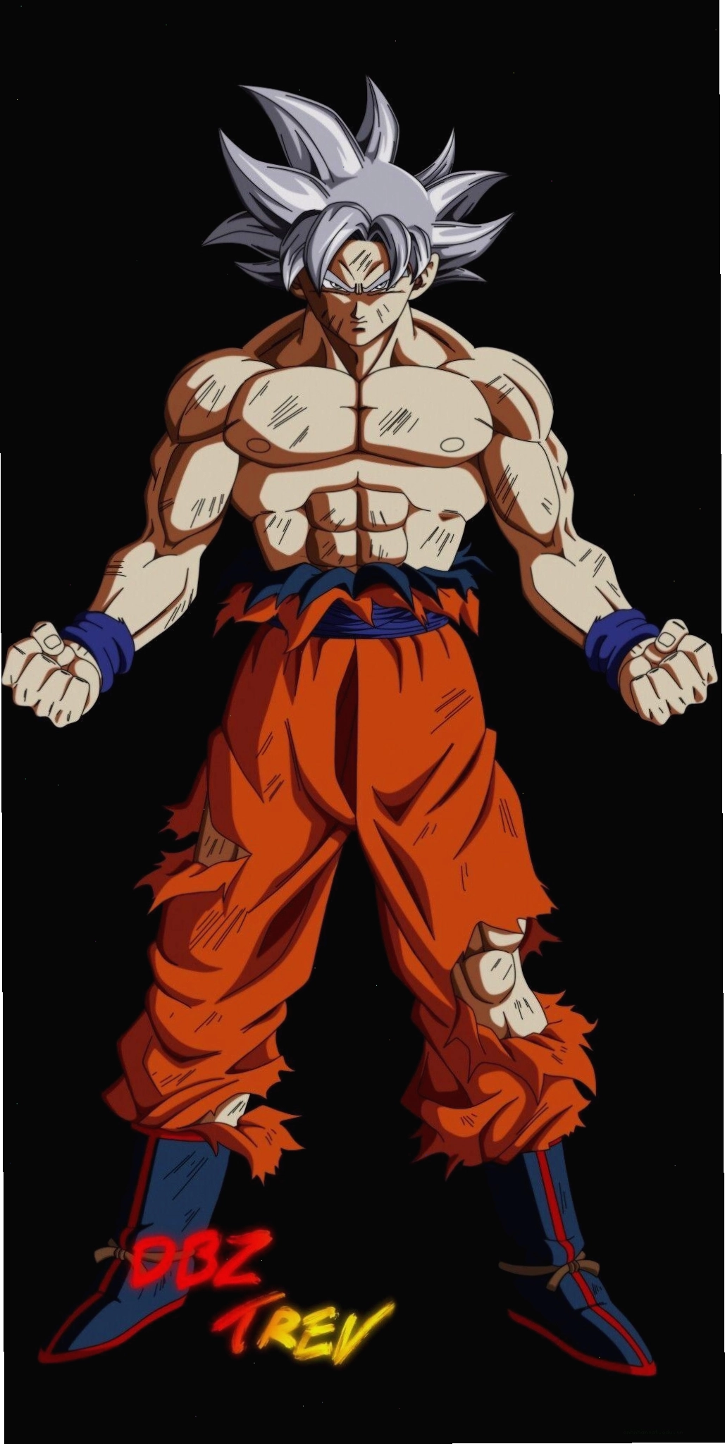 Goku mastered ultra instinct