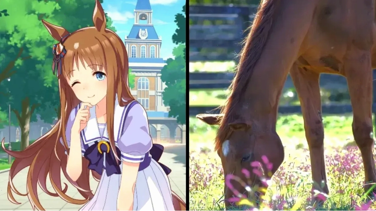grass wonder