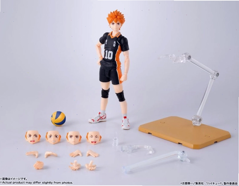 Hinata Shoyo và đồng đội tại Karasuno