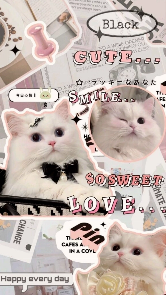 Hình nền cute có chữ, thích hợp cho điện thoại