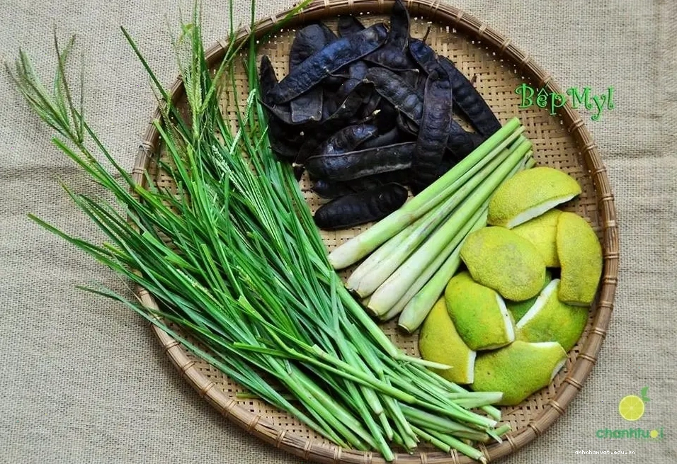 Minh họa sự đa dạng của các câu chuyện có Y/n