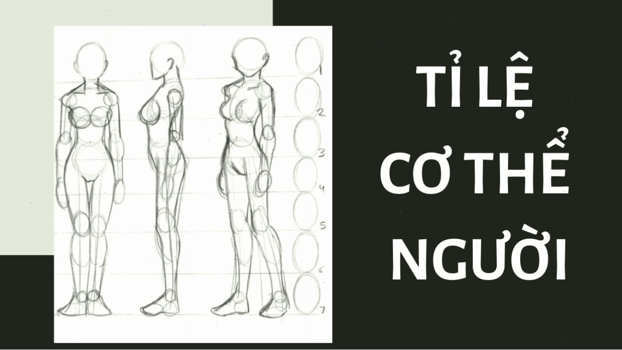 Tỉ lệ cơ thể người trong vẽ anime