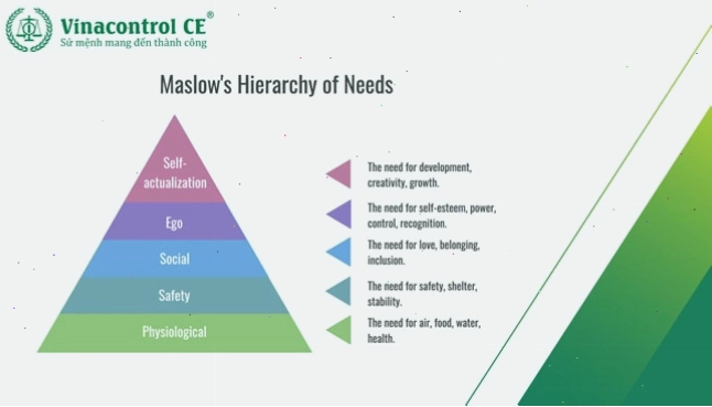 Mô hình tháp nhu cầu Maslow trong phân tích hành vi
