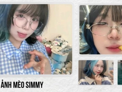 Khám phá bộ sưu tập ảnh mèo Simmy anime chibi cute độc đáo