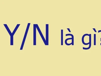 Y/n là gì? Ý nghĩa và cách sử dụng thuật ngữ "your name" trong văn hóa đại chúng